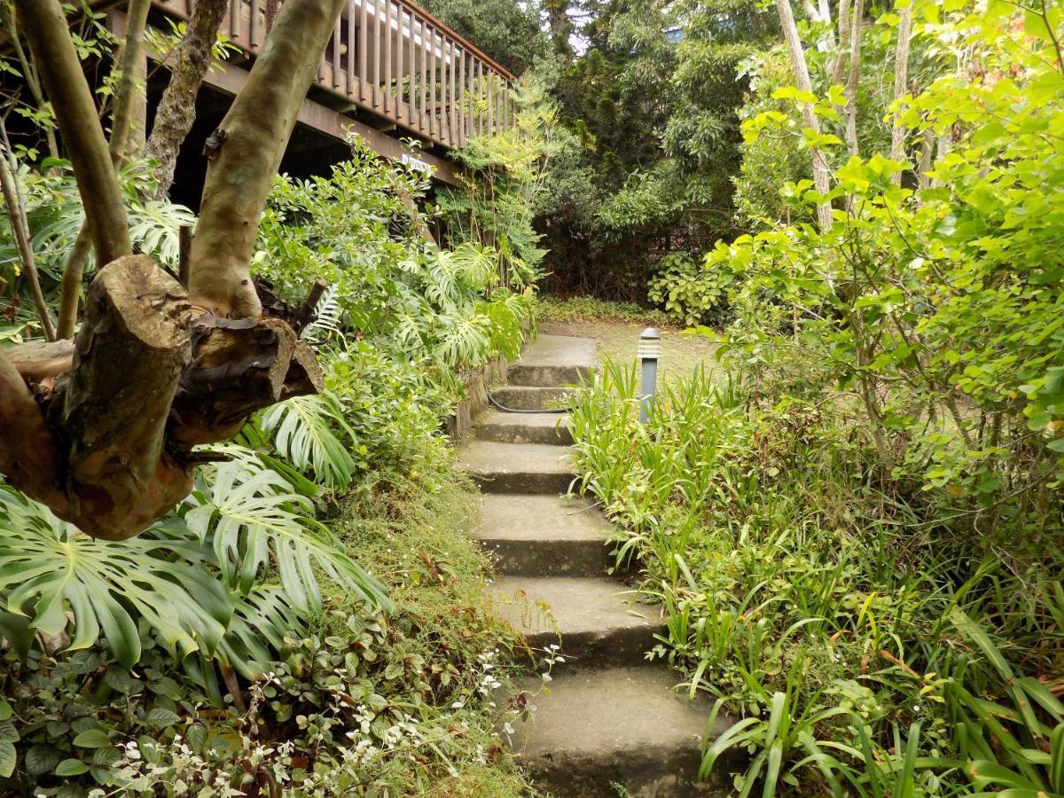 Protea Guest House Knysna Exterior foto